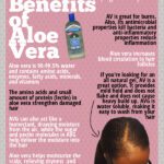 Aloe Vera: Gamtos Stebuklas Jūsų Sveikatai