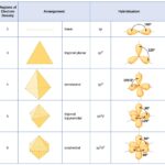 Molecule 01: Unikali Kvepalų Patirtis